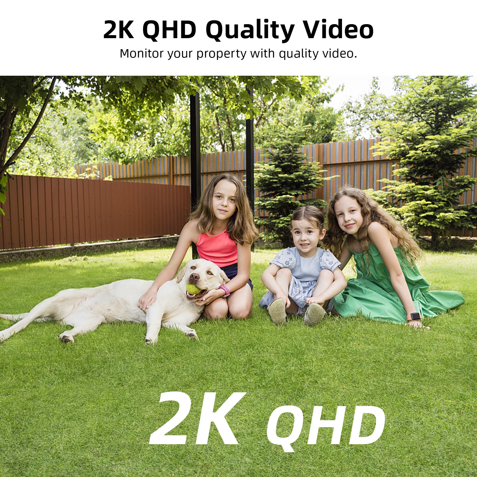 2K QHD Quality Video