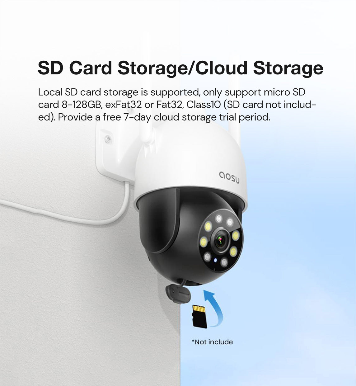 SD card storage/cloud storage