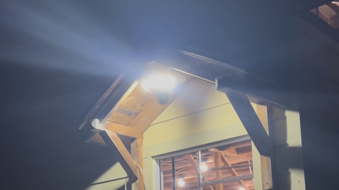 Floodlight Cameras Compared: Lighting, Recording and Total Cost