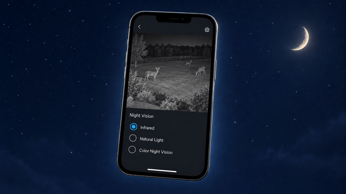 Night Vision Camera App Settings: What Changes the Recording—and What Doesn’t