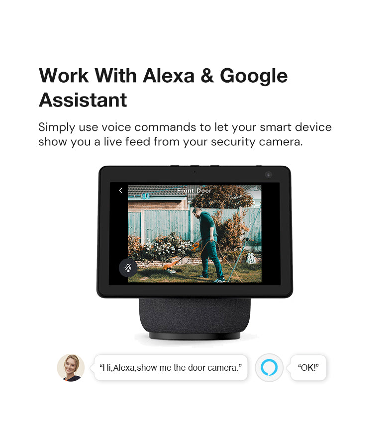 work with Alexa & Google Assistant