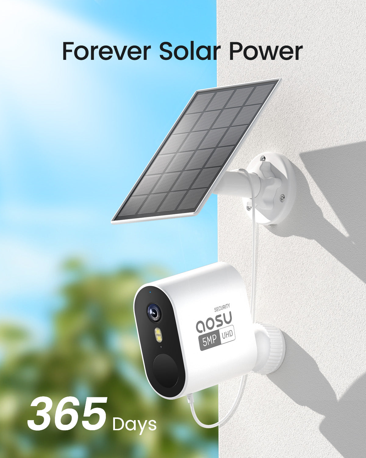 forever solar power