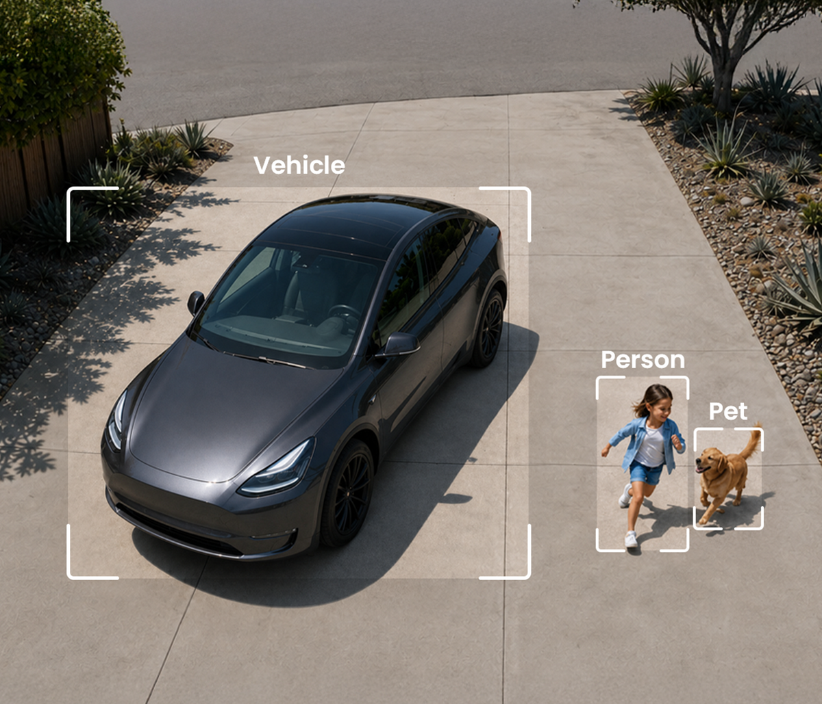Smart Detection