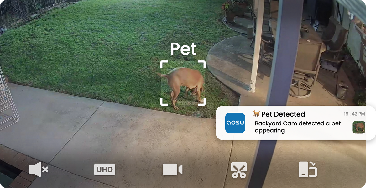 Pets (Beta)
